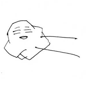 bozu07