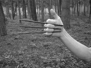 Hashi