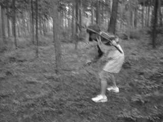 Saegakure-no-jutsu