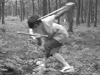 Dicendo di Igazawa