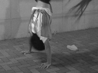 Dicendo di Hanzaemon